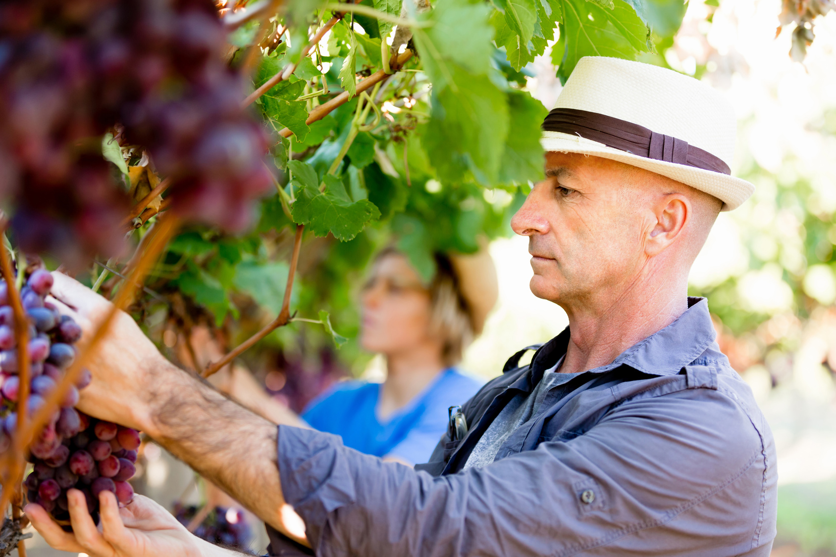 2_meilis-weinwelt.jpg